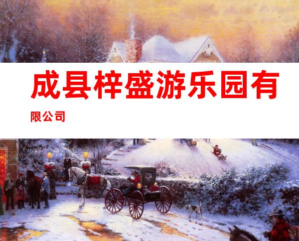 成县梓盛游乐园有限公司